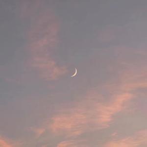 妇与子乱伦视频
